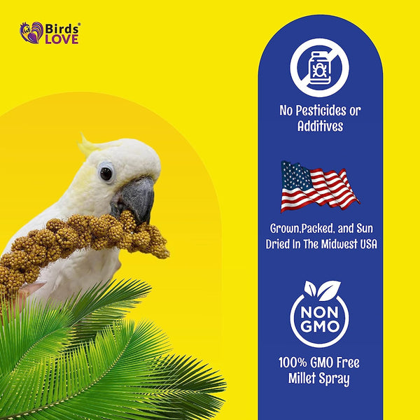Birds LOVE Economy & Thin Special Spray Millet GMO-Free No Pesticides (No Stems Only Edible Tops) for Birds Cockatiel Lovebird Parakeet Finch Canary All Parrots Healthy Treat-5lbs