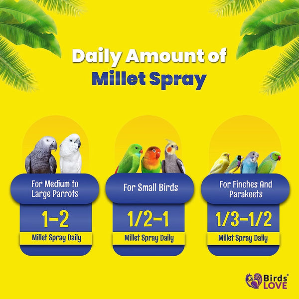Birds LOVE Economy & Thin Special Spray Millet 25lb