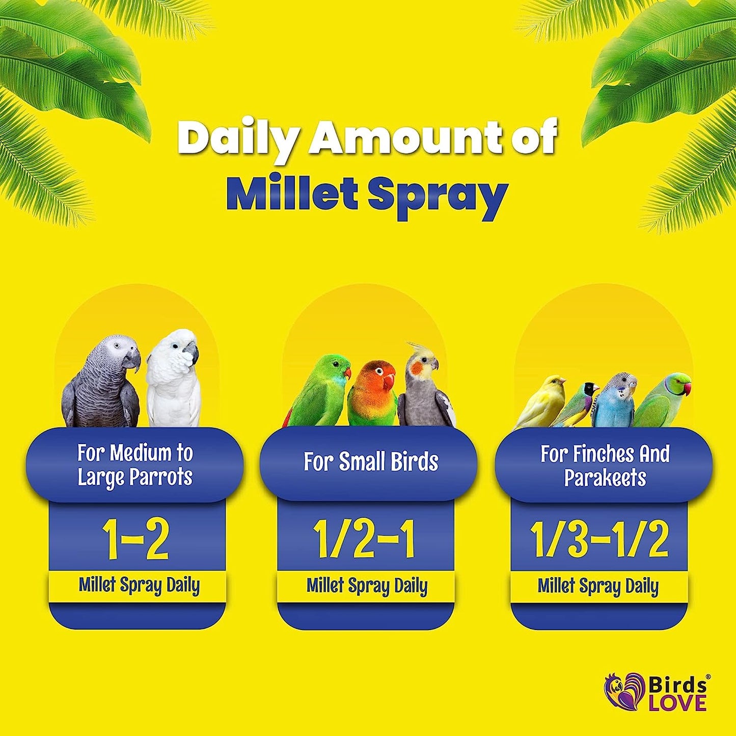 Birds LOVE Economy & Thin Special Spray Millet GMO-Free No Pesticides (No Stems Only Edible Tops) for Birds Cockatiel Lovebird Parakeet Finch Canary All Parrots Healthy Treat - 2lbs