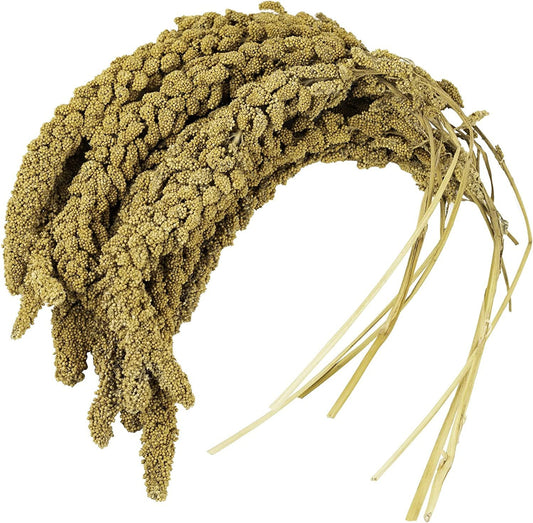 Birds LOVE French Kissed Bird Millet 1lb