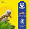 irds LOVE Millet Tips & Tails for Birds - Parakeets, Cockatiels, Lovebirds, Budgies, Canaries, Cockatoos - Natural & Healthy Millet for Birds, Parakeet Food & Treats for all Parrots, 5oz