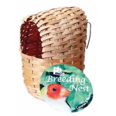 Bamboo Covered Finch Bird Twig Nest