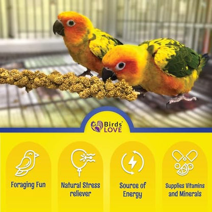 Birds LOVE Millet Tips & Tails for Birds - Parakeets, Cockatiels, Lovebirds, Budgies, Canaries, Cockatoos - Natural & Healthy Millet for Birds, Parakeet Food & Treats for all Parrots, 5oz