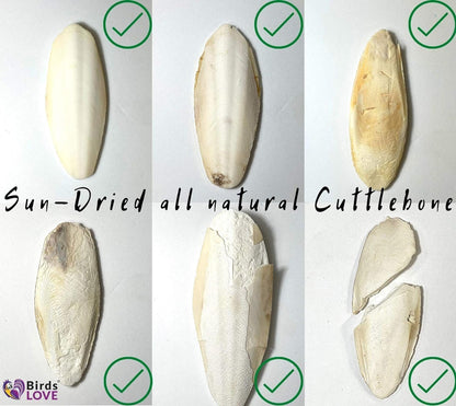 Birds LOVE Natural Cuttlebone | 100% Pure Sun-Dried Calcium Supplement for Birds, Tortoises, Snails & Crabs | Supports Beak & Shell Health | Easy to Chew | 12 Pack, Size 7.5 to 8"