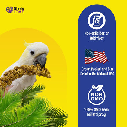 Birds LOVE Spray Millet – 9 oz GMO-Free, No Stems (Only Edible Tops) – Healthy Treat for Parakeets, Cockatiels, Finches, Canaries & Lovebirds