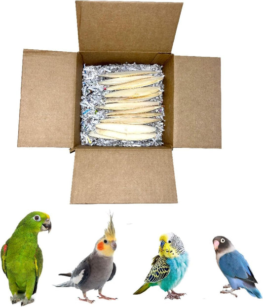 Birds LOVE Natural Cuttlebone - Premium Calcium & Trace Mineral Supplement for Avian Species, Tortoises, and Snails - Pure Cuttlefish Bones for Parakeets, Cockatiels & All Birds - 12 Pack of 5 .5-6"