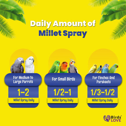 Birds LOVE Spray Millet – 9 oz GMO-Free, No Stems (Only Edible Tops) – Healthy Treat for Parakeets, Cockatiels, Finches, Canaries & Lovebirds