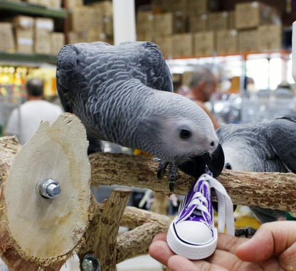 Birds LOVE 6 pk 1-Grommet only Mini Sneakers Shoes or Rubber Sandal Toys for Birds, Cats, Ferrets, Rabbits, Guinea Pigs and Small Animals