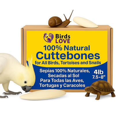 Birds LOVE Natural Cuttlebone – Premium Calcium for Cockatiel, Parrots, Tortoise, Snails, Crabs and Chinchillas - Pure Cuttlebone for Birds - Parakeet Food and Bird Treats - 4lb, Size 7.5 to 8"