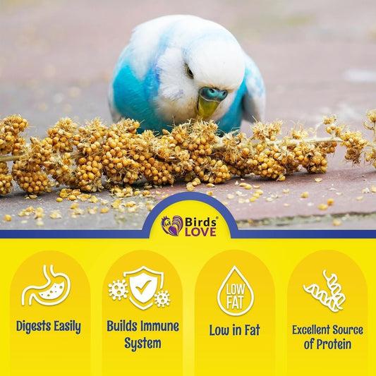 Birds LOVE Millet Tips & Tails for Birds - Parakeets, Cockatiels, Lovebirds, Budgies, Canaries, Cockatoos - Natural & Healthy Millet for Bird, Parakeet Food & Treats for All Parrots, 1lb (Pack of 25)