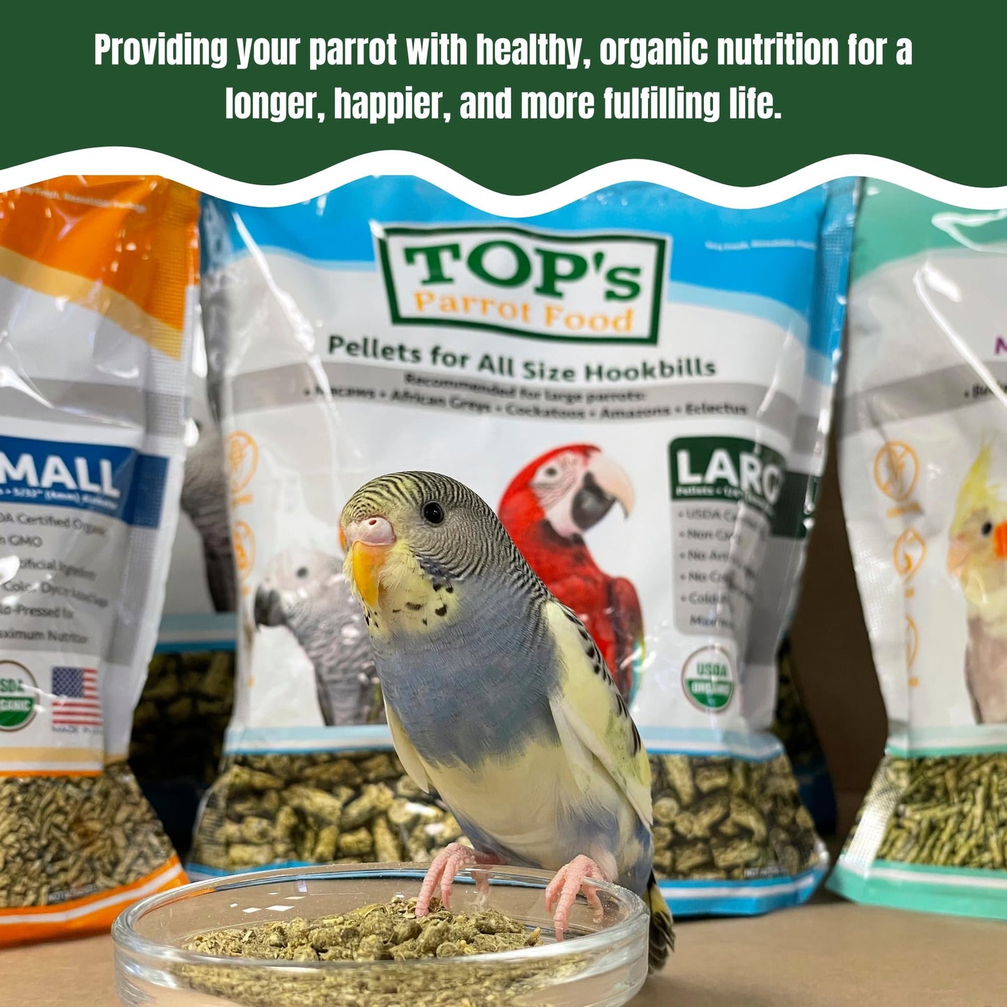 TOP's Parrot Food Mini Pellets Bird Food for Budgies, Cockatiels, Parrotlets, Lovebirds, Parakeets - Non-GMO, Peanut Soy & Corn Free, USDA Organic Certified - 1 lb