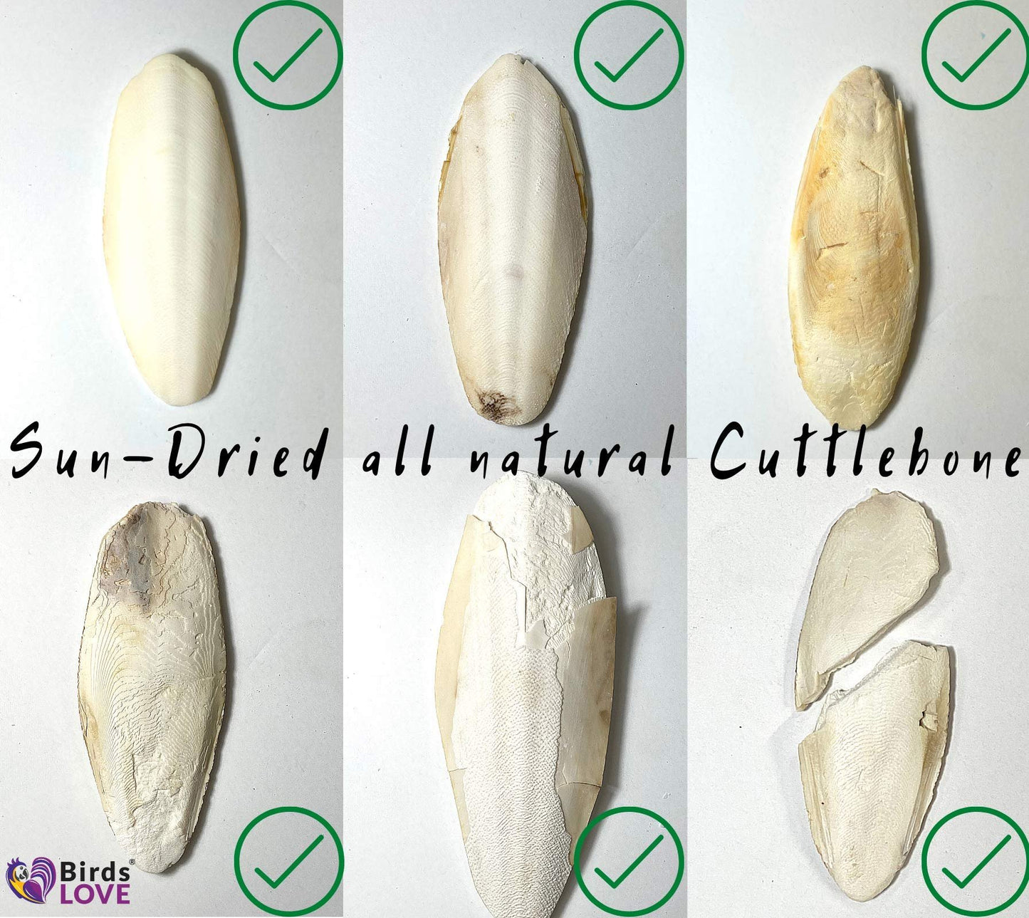 Birds LOVE Natural Cuttlebone | 100% Pure Sun-Dried Calcium Supplement for Birds, Tortoises, Snails & Crabs | Supports Beak & Shell Health | Easy to Chew | 3 Pack, Size 5.5 to 6"
