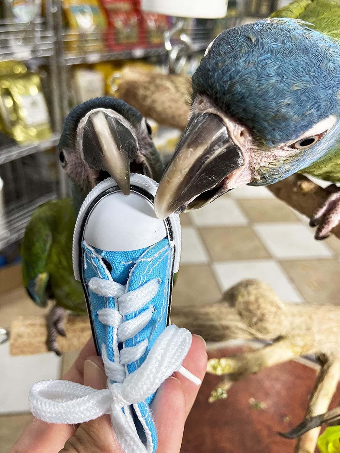 Birds LOVE 6 pk 1-Grommet only Mini Sneakers Shoes or Rubber Sandal Toys for Birds, Cats, Ferrets, Rabbits, Guinea Pigs and Small Animals