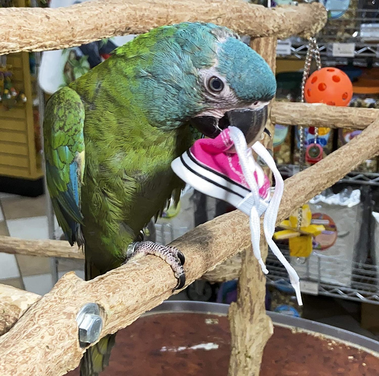 Birds LOVE 6 pk 1-Grommet only Mini Sneakers Shoes or Rubber Sandal Toys for Birds, Cats, Ferrets, Rabbits, Guinea Pigs and Small Animals