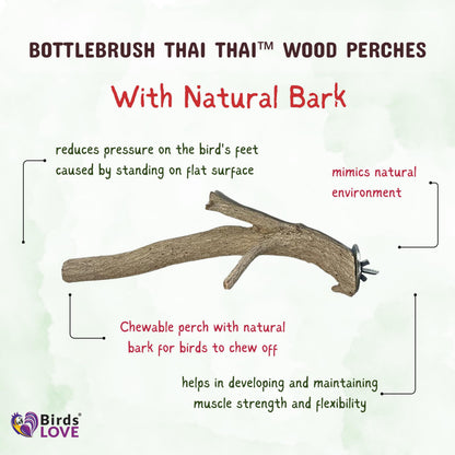 Birds LOVE Bottlebrush Thai Wood Bird Perches for Parakeets, Finches, Cockatiels, Conures, Budgies - Parrot Perch Stand & Bird Cage Accessories - Pack of 2 Small Perches…