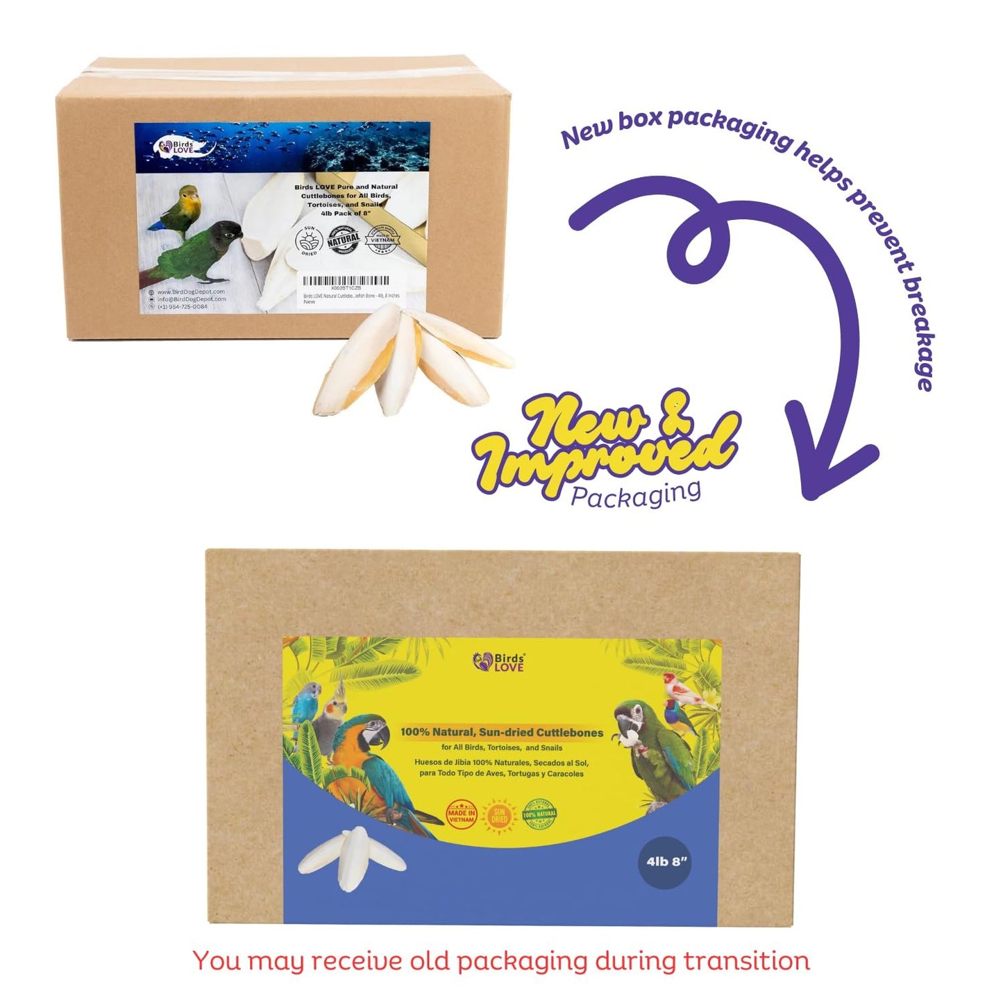 Birds LOVE Natural Cuttlebone – Premium Calcium for Cockatiel, Parrots, Tortoise, Snails, Crabs and Chinchillas - Pure Cuttlebone for Birds - Parakeet Food and Bird Treats - 4lb, Size 7.5 to 8"