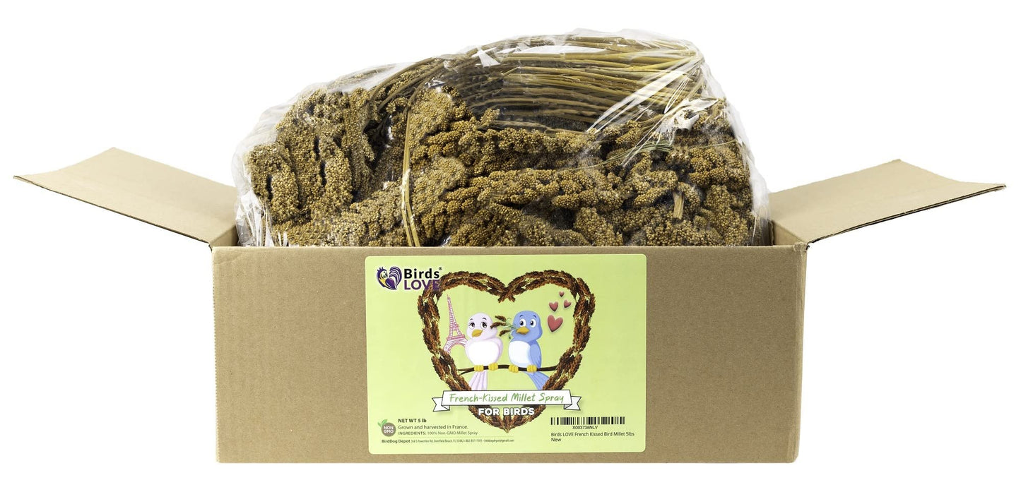 Birds LOVE French Kissed Spray Millet for Birds - Parakeets, Cockatiels, Lovebirds, Finches, Budgies, Canaries, Cockatoos - Natural & Healthy Bird Millet - Parakeet Food & Treats for All Parrots 5lbs