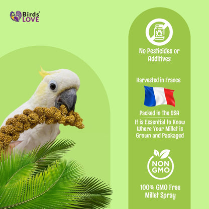 Birds LOVE French Kissed Spray Millet for Birds - Parakeets, Cockatiels, Lovebirds, Finches, Budgies, Canaries, Cockatoos - Natural & Healthy Bird Millet - Parakeet Food & Treats for All Parrots 2lbs