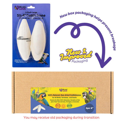 Birds LOVE Natural Cuttlebone | 100% Pure Sun-Dried Calcium Supplement for Birds, Tortoises, Snails & Crabs | Supports Beak & Shell Health | Easy to Chew | 2 Pack, Size 5.5 to 6"