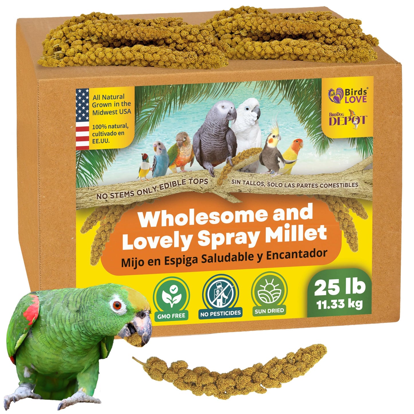 Birds LOVE Wholesome & Lovely Spray Millet | GMO Free (No Stems Only Edible Tops) for Parrots Birds Cockatiel Lovebird Parakeet Finch Canary All Parrots Healthy Treat -25lbs