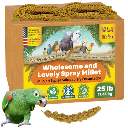 Birds LOVE Wholesome & Lovely Spray Millet | GMO Free (No Stems Only Edible Tops) for Parrots Birds Cockatiel Lovebird Parakeet Finch Canary All Parrots Healthy Treat -25lbs