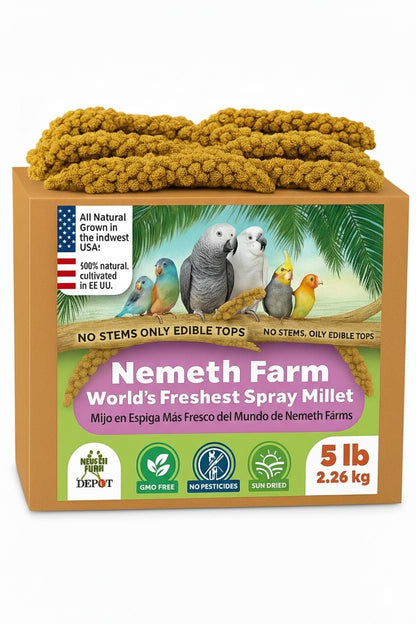 Nemeth Farms Worlds Freshest GMO-Free, Sun Dried Spray Millet No Stems Only Edible - Tops-Original Bird Treat and Supplement for Pet Birds Parakeets, Cockatiels, Lovebirds and Finches - 5lbs