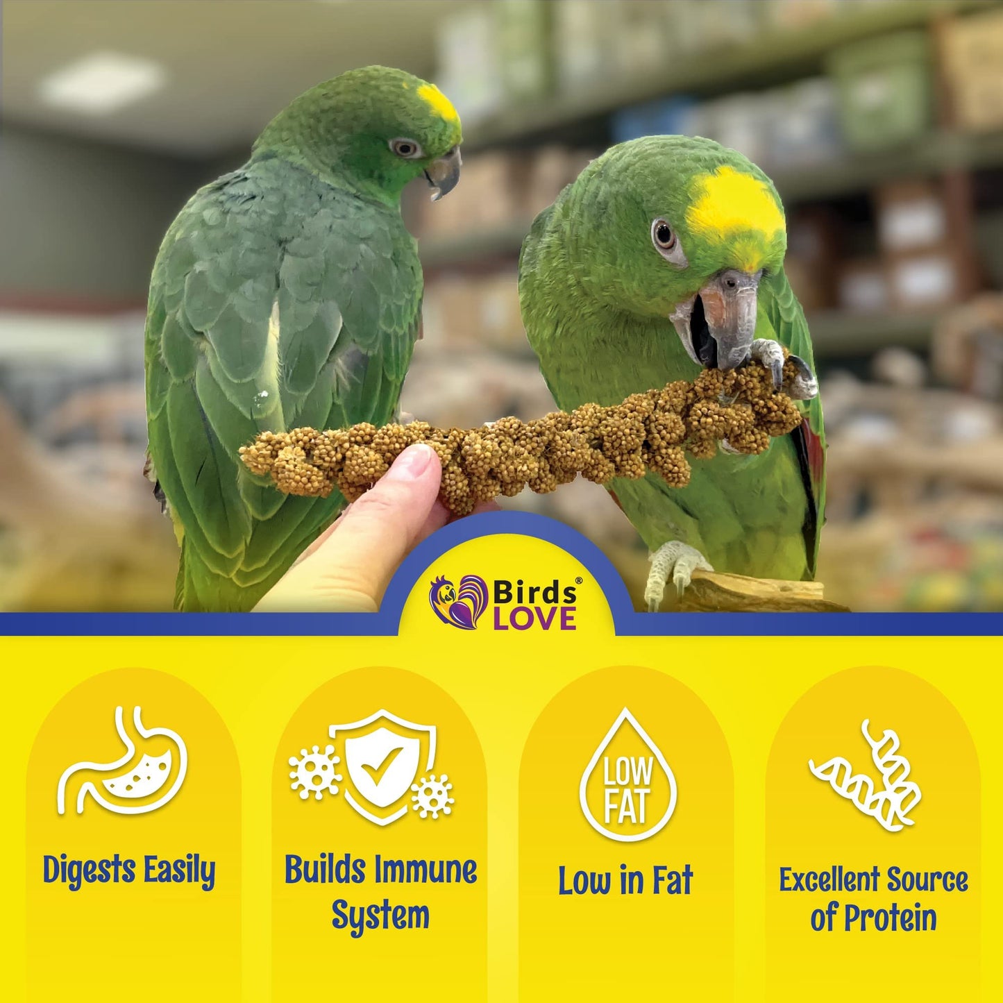 Birds LOVE Economy Special Spray Millet – 5 lb GMO-Free, No Stems (Only Edible Tops) – Healthy Treat for Cockatiels, Lovebirds, Parakeets, Finches & Canaries