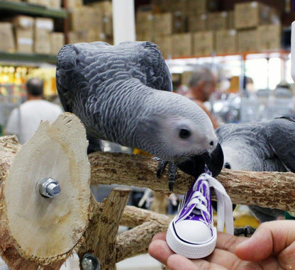 Birds LOVE 6 pk 1-Grommet only Mini Sneakers Shoes or Rubber Sandal Toys for Birds, Cats, Ferrets, Rabbits, Guinea Pigs and Small Animals