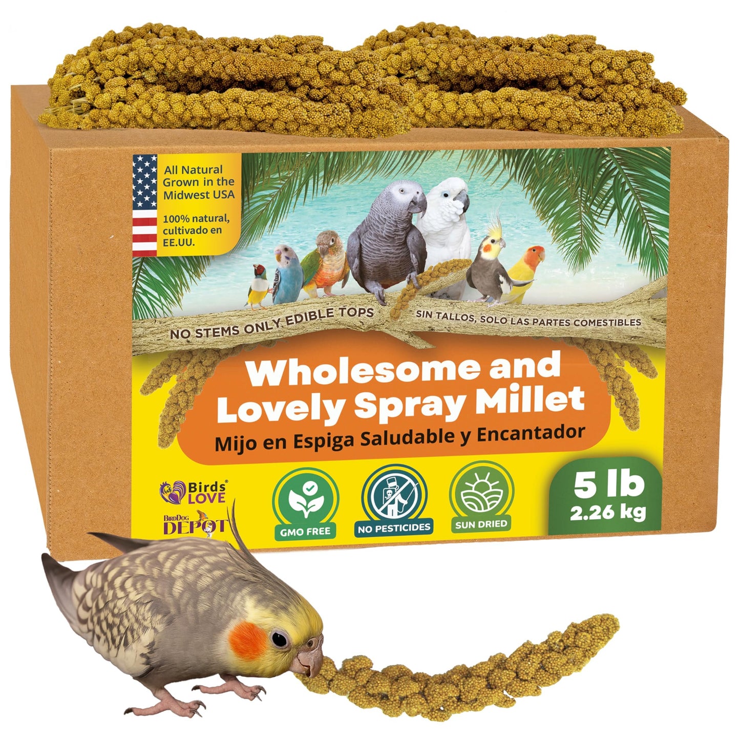 Birds LOVE Wholesome & Lovely Spray Millet Non-GMO (No Stems Only Edible Tops) for Parrots Birds Cockatiel Lovebird Parakeets Finch Canary All Parrots Healthy Treat - 5lbs