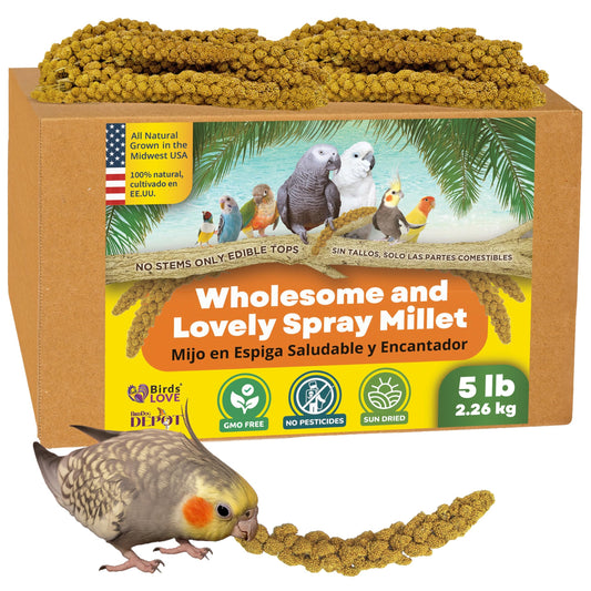Birds LOVE Wholesome & Lovely Spray Millet Non-GMO (No Stems Only Edible Tops) for Parrots Birds Cockatiel Lovebird Parakeets Finch Canary All Parrots Healthy Treat - 5lbs