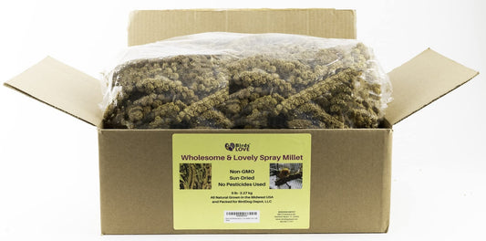 Birds LOVE Wholesome & Lovely Spray Millet Non-GMO (No Stems Only Edible Tops) for Parrots Birds Cockatiel Lovebird Parakeets Finch Canary All Parrots Healthy Treat - 5lbs