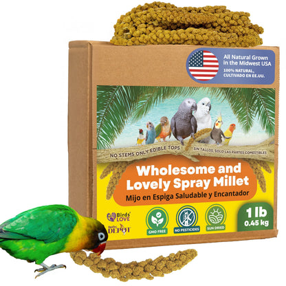 Birds LOVE Spray Millet – 1 lb GMO-Free, No Stems (Edible Tops Only) – Healthy Treat for Cockatiels, Lovebirds, Parakeets, Finches & Canaries