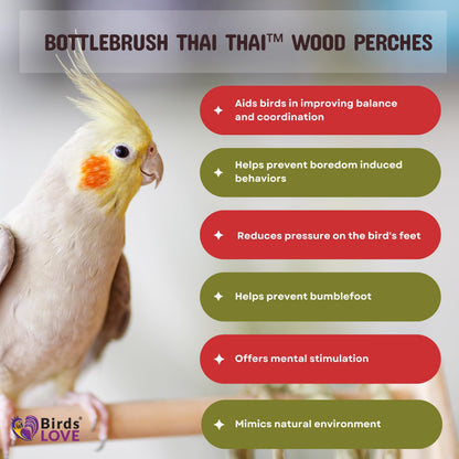 Birds LOVE Bottlebrush Thai Wood Bird Perches for Parakeets, Finches, Cockatiels, Conures, Budgies - Parrot Perch Stand & Bird Cage Accessories - Pack of 2 Small Perches…