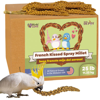 Birds LOVE French Kissed Spray Millet for Birds - Parakeets, Cockatiels, Lovebirds, Finches, Budgies, Canaries, Cockatoos - Natural & Healthy Bird Millet - Parakeet Food & Treats for all Parrots 25lbs