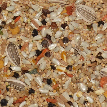 Volkman Seed Avian Science Super Cockatiel with Sunflower Bird Food 4lb