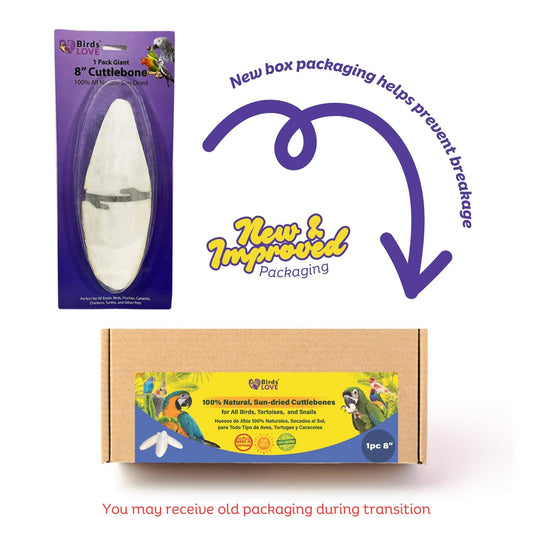 Birds LOVE 7.5" to 8" Natural Cuttlebone for Birds, Tortoises, Snails & Crabs (1 Pack) – 100% Pure Sun-Dried Cuddlebone Calcium Supplement to Support Beak & Shell Health