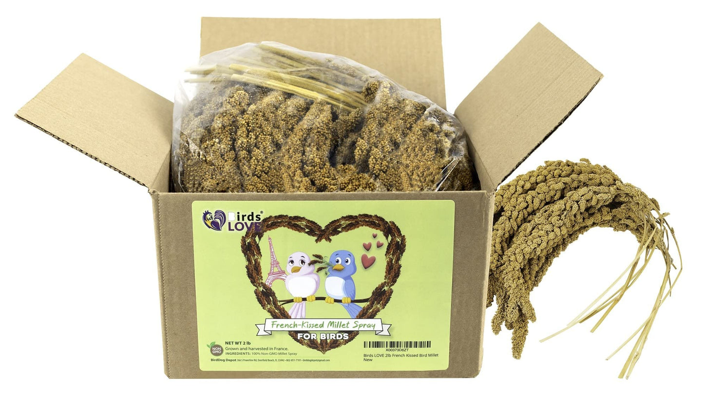 Birds LOVE French Kissed Spray Millet for Birds - Parakeets, Cockatiels, Lovebirds, Finches, Budgies, Canaries, Cockatoos - Natural & Healthy Bird Millet - Parakeet Food & Treats for All Parrots 2lbs
