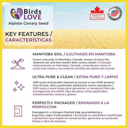 Birds LOVE Alpiste Canary Seed – 100% Pure, Non-GMO, Double Cleaned Food for Canaries, Finches, Budgies & Parakeets – No Additives, Bird Feed, 5 lbs