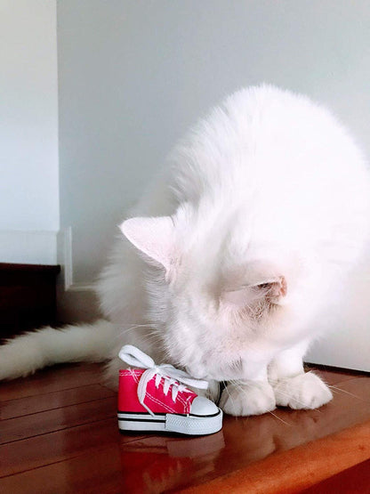 Birds LOVE 6 pk 1-Grommet only Mini Sneakers Shoes or Rubber Sandal Toys for Birds, Cats, Ferrets, Rabbits, Guinea Pigs and Small Animals