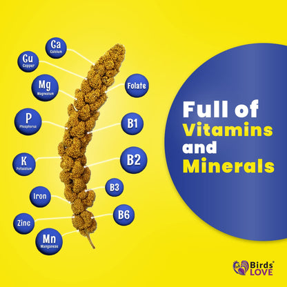 Birds LOVE Spray Millet – 9 oz GMO-Free, No Stems (Only Edible Tops) – Healthy Treat for Parakeets, Cockatiels, Finches, Canaries & Lovebirds