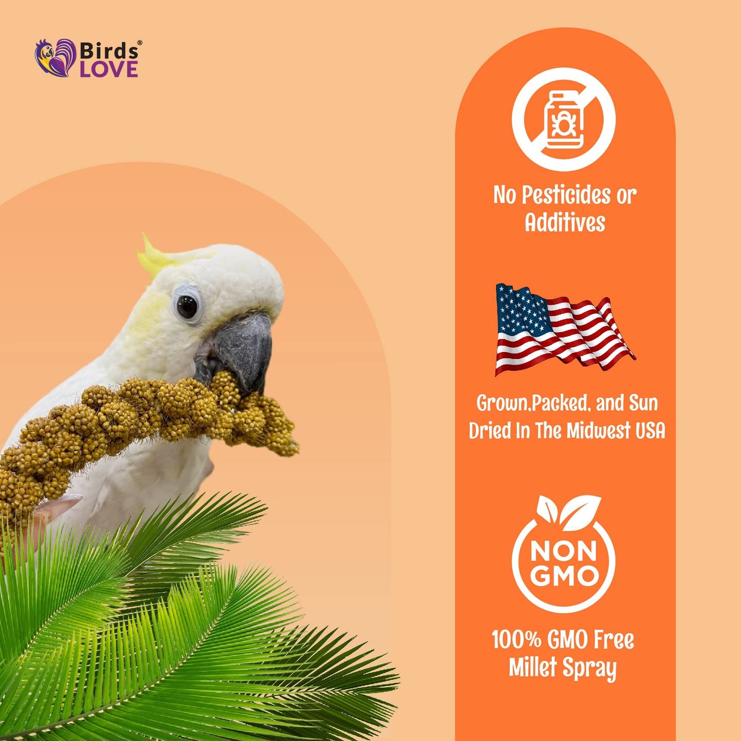 Birds LOVE Spray Millet – 1 lb GMO-Free, No Stems (Edible Tops Only) – Healthy Treat for Cockatiels, Lovebirds, Parakeets, Finches & Canaries