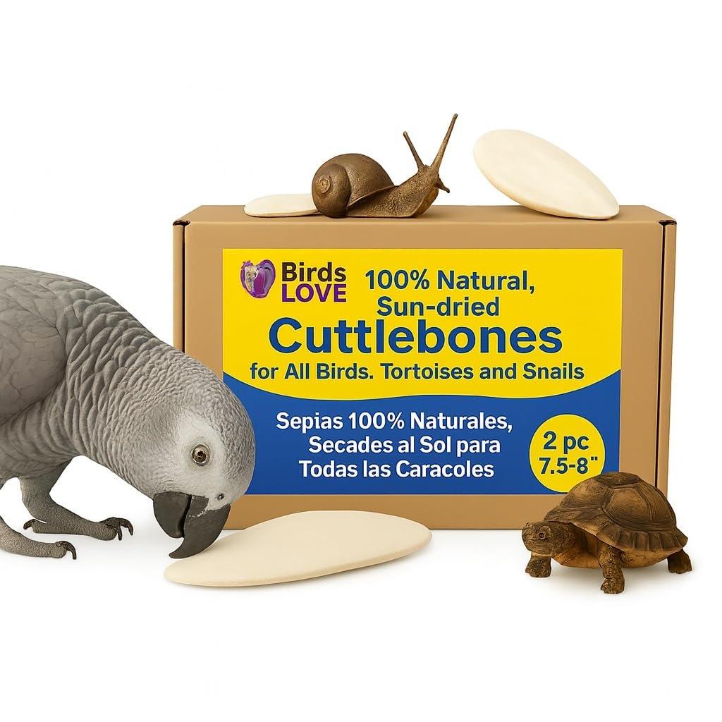 Birds LOVE 2 pc 7.5–8″ Sun-Dried Natural Cuttlebone Kit | 100 % Pure Calcium Supplement for Birds, Tortoises, Snails & Crabs | Beak & Shell Health with Metal Holder