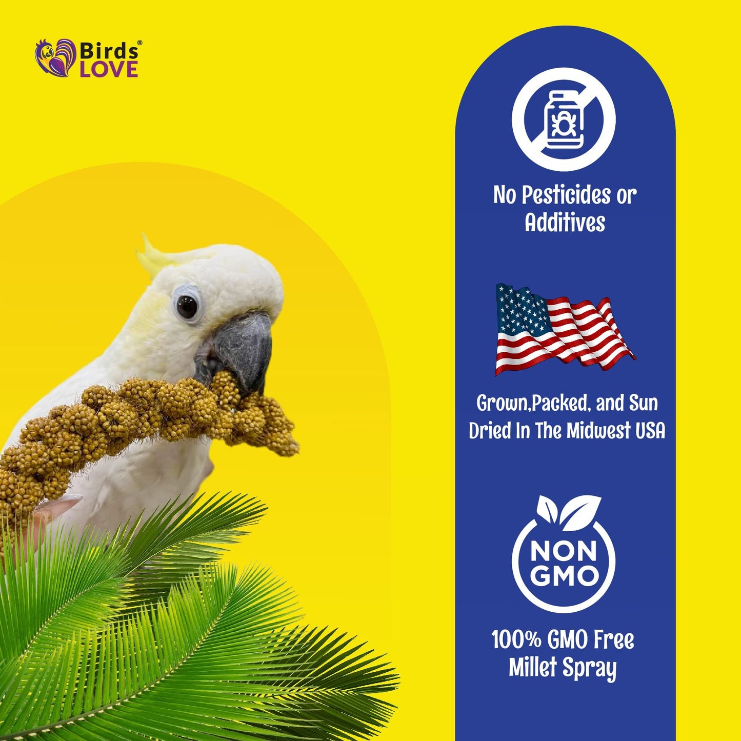 Birds LOVE Economy Special Spray Millet – 5 lb GMO-Free, No Stems (Only Edible Tops) – Healthy Treat for Cockatiels, Lovebirds, Parakeets, Finches & Canaries