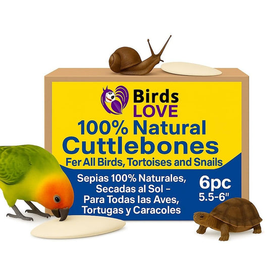 Birds LOVE Natural Cuttlebone | 100% Pure Sun-Dried Calcium Supplement for Birds, Tortoises, Snails & Crabs | Supports Beak & Shell Health | Easy to Chew | 6 Pack, Size 5.5 to 6"