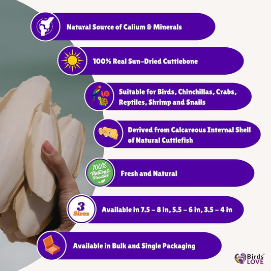 Birds LOVE Natural Cuttlebone | 100% Pure Sun-Dried Calcium Supplement for Birds, Tortoises, Snails & Crabs | Supports Beak & Shell Health | Easy to Chew | 12 Pack, Size 7.5 to 8"