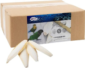 BIRDS LOVE CUTTLEBONE 12 PACK 6IN