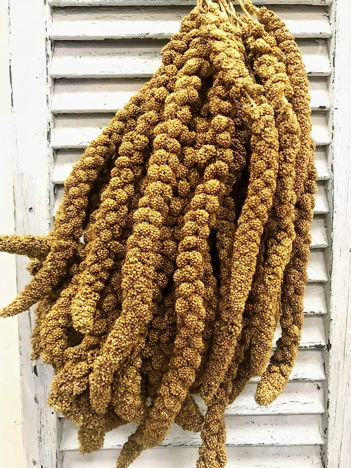 Nemeth Farms Worlds Freshest Sun-Dried Spray Millet 5lb