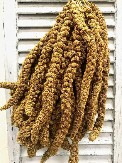 Nemeth Farms Worlds Freshest Sun-Dried Spray Millet 5lb