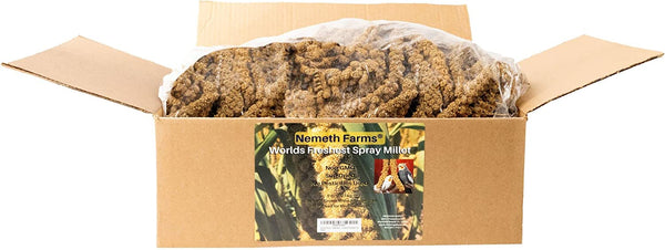 Nemeth Farms Worlds Freshest Sun-Dried Spray Millet 5lb