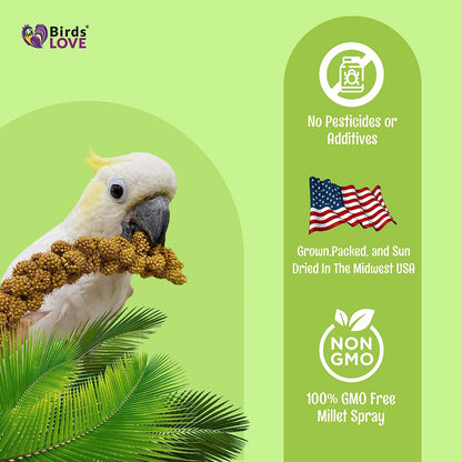 Birds LOVE French Kissed Bird Millet 1lb